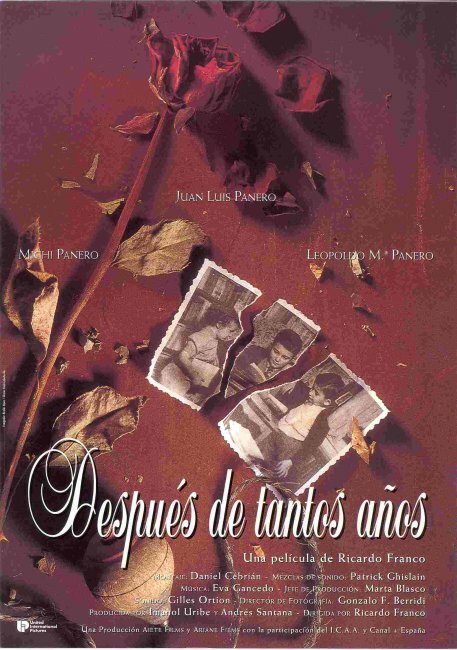 Después de tantos años (1994) постер