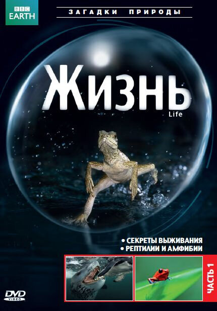 BBC: Жизнь (2009) постер