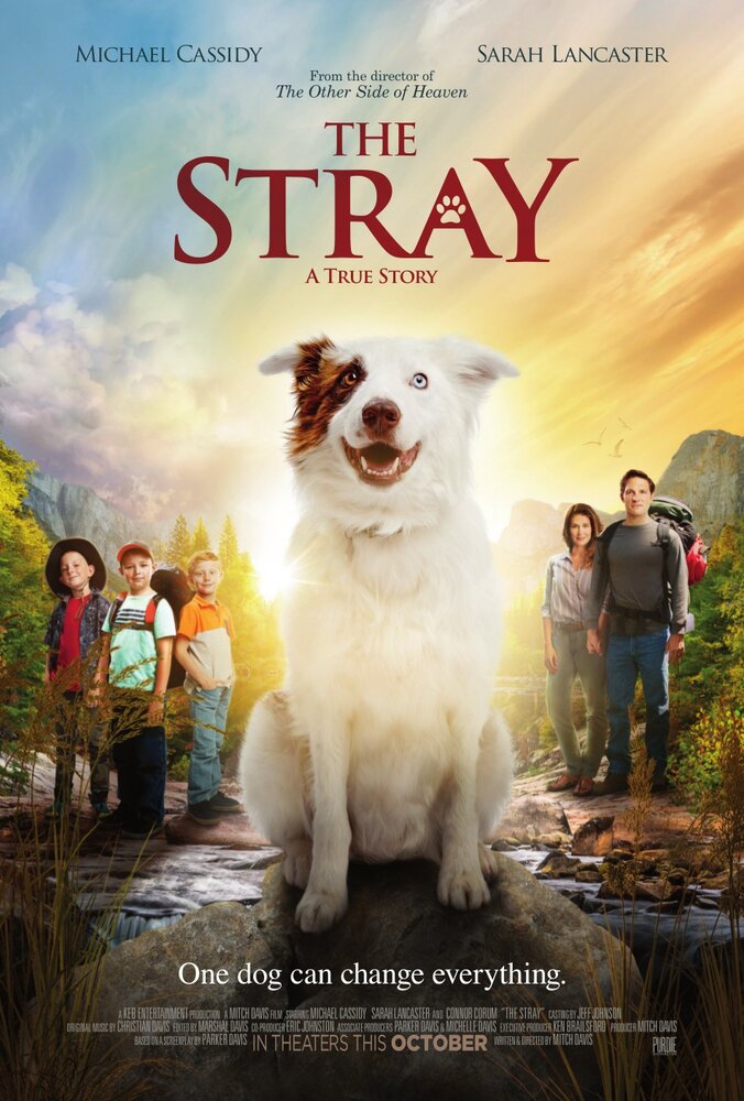 The Stray (2017) постер